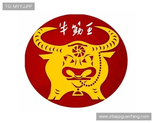 选择尊龙凯时备用网址的理由与注意事项详解