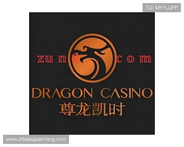 尊龙凯时官网支持多种支付方式，快速充值提现无忧保障玩家资金安全